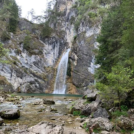 Kammblick