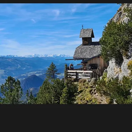 Kammblick *