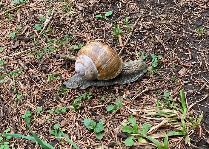 Kammblick 아파트 그뢰브밍